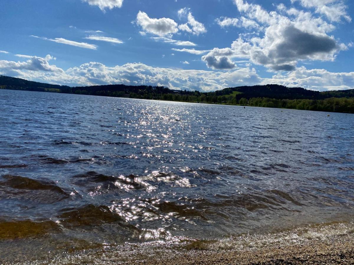 Luxury Apartman Lipno Lipno nad Vltavou Exteriör bild
