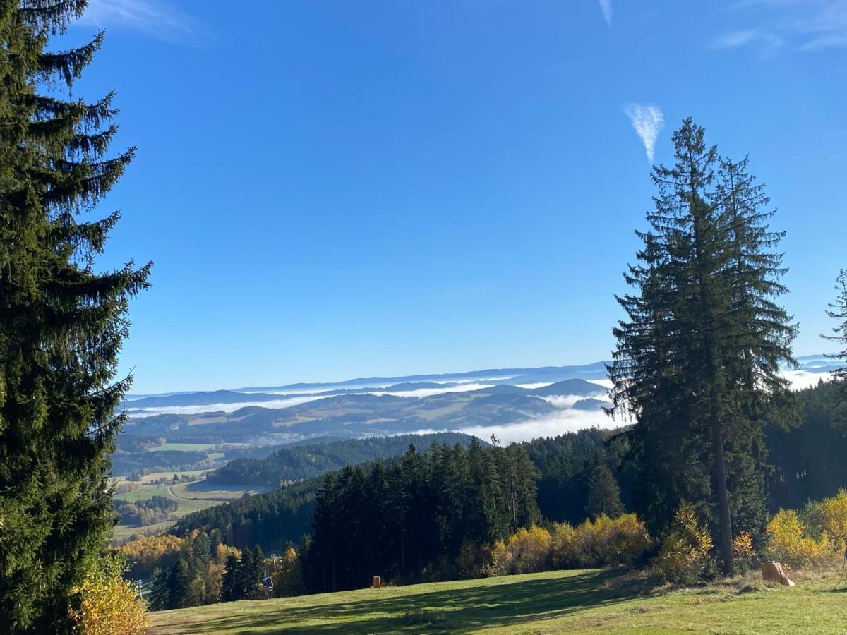 Luxury Apartman Lipno Lipno nad Vltavou Exteriör bild