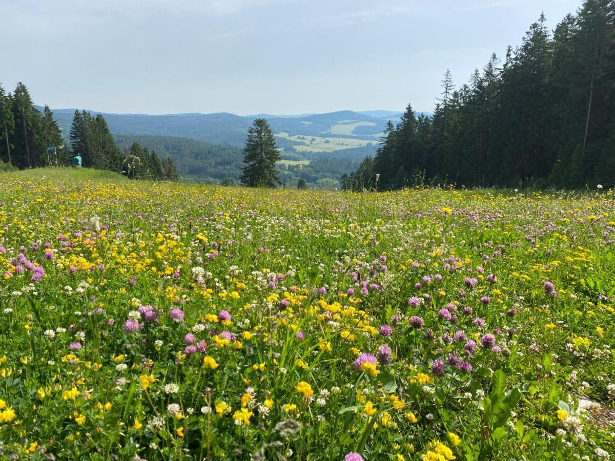 Luxury Apartman Lipno Lipno nad Vltavou Exteriör bild
